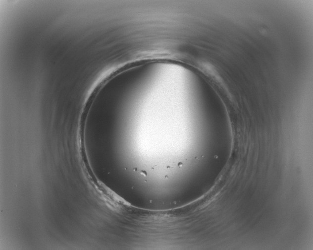 X0000067481328200604150006