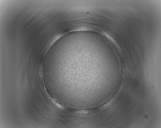 X0000067481329200604150006