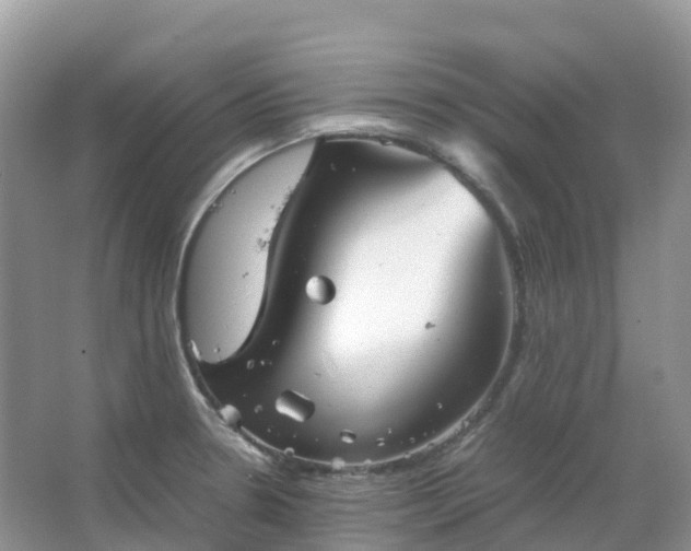 X0000067481330200604150006