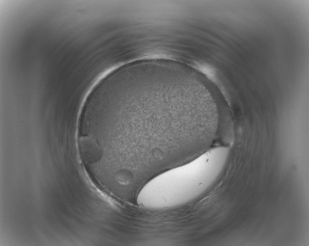 X0000067481331200604150006