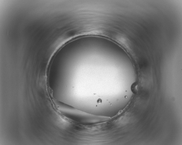 X0000067481332200604150006