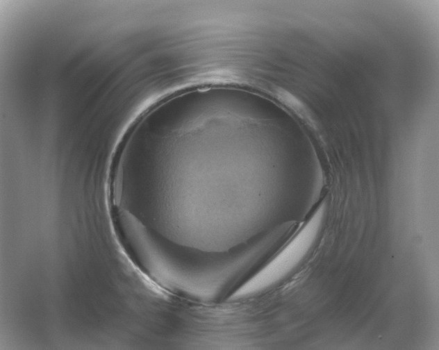 X0000067481334200604150006