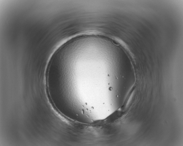 X0000067481335200604150006