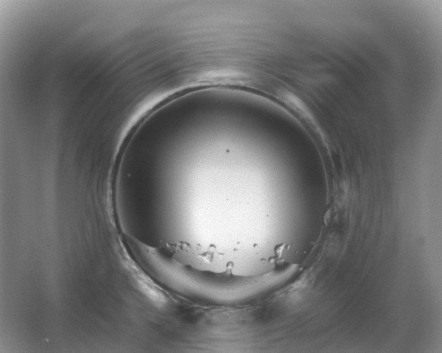 X0000067481336200604150006