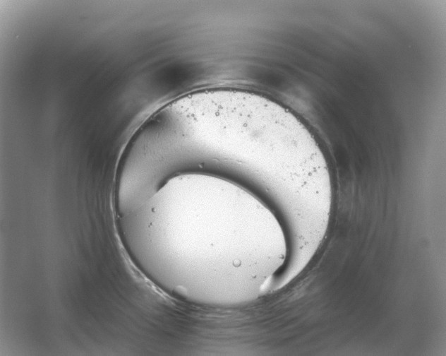 X0000067481338200604150006