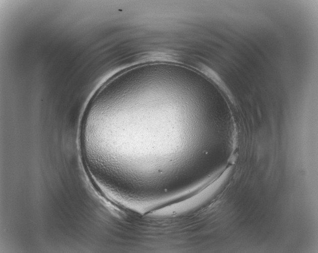 X0000067481339200604150006