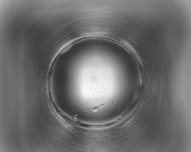 X0000067481340200604150006