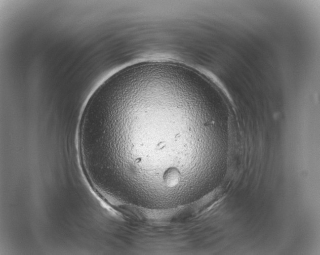 X0000067481343200604150006