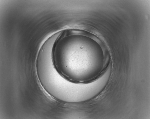 X0000067481344200604150006