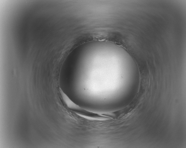 X0000067481345200604150005