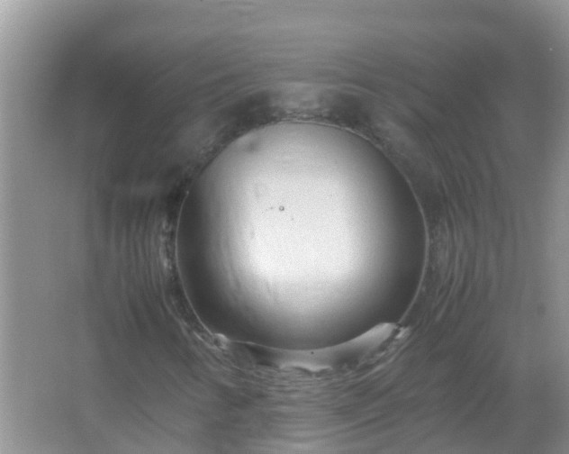 X0000067481346200604150005