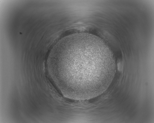 X0000067481347200604150005