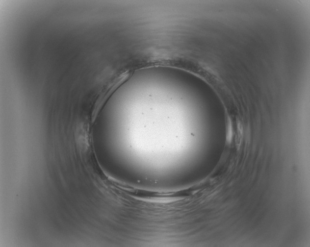 X0000067481348200604150005