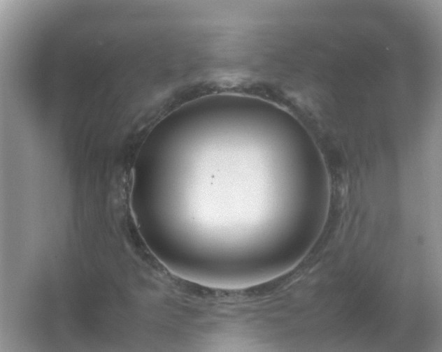 X0000067481349200604150005