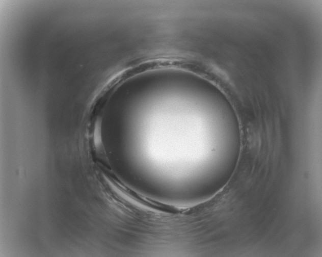 X0000067481352200604150005