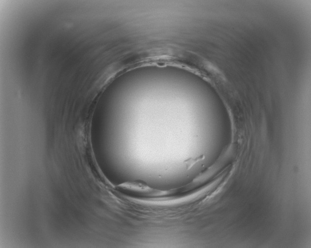 X0000067481353200604150005