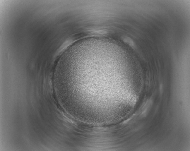 X0000067481354200604150005