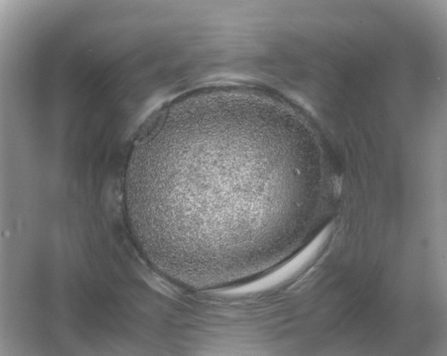 X0000067481355200604150005