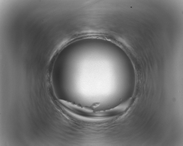 X0000067481357200604150005