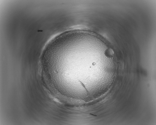 X0000067481358200604150005