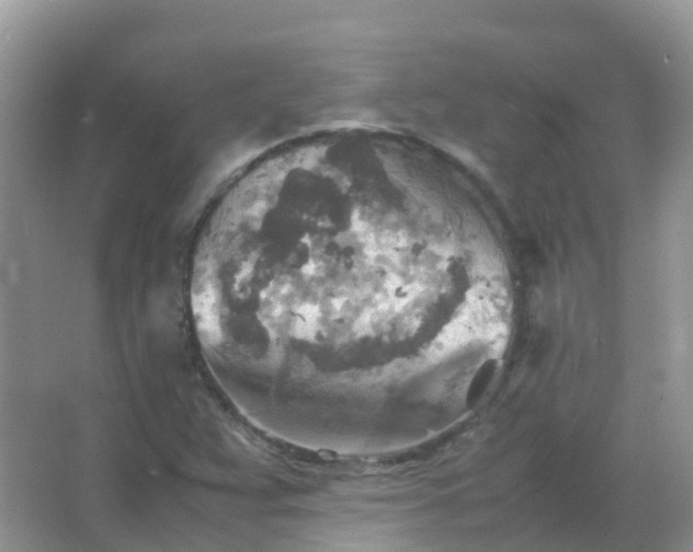 X0000067481359200604150005