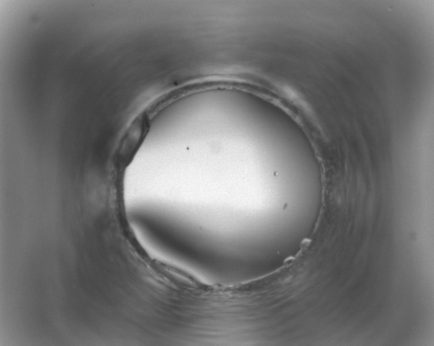 X0000067481360200604150005