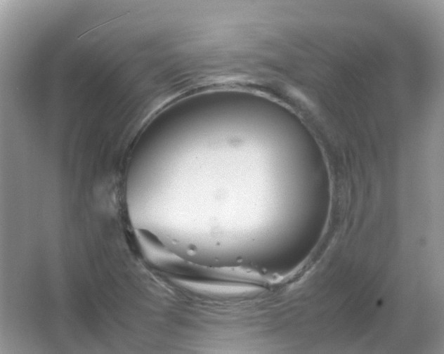 X0000067481361200604150005