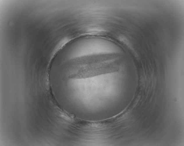 X0000067481362200604150005