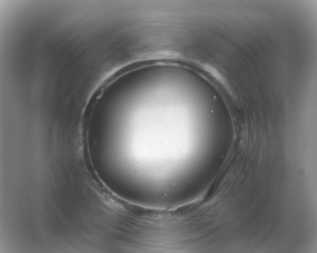 X0000067481364200604150005