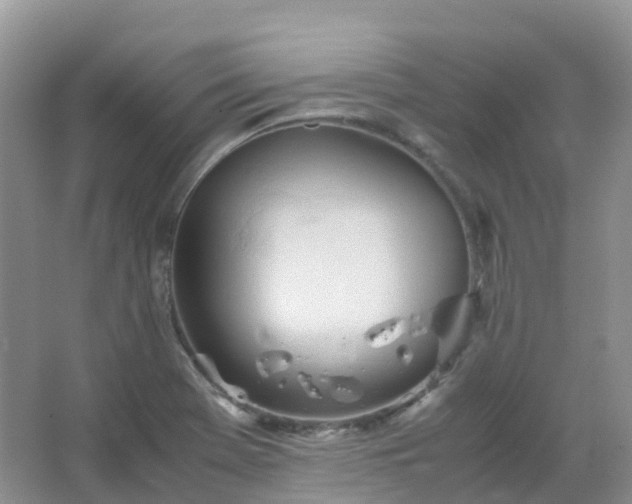 X0000067481369200604150005