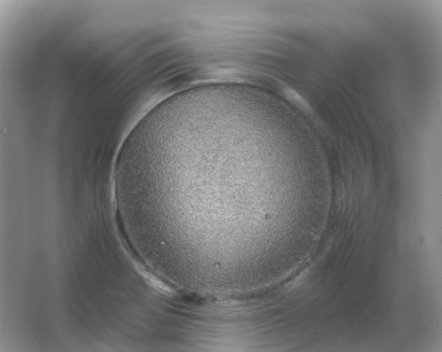 X0000067481370200604150005