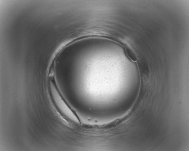 X0000067481371200604150005