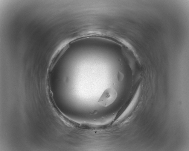 X0000067481373200604150005