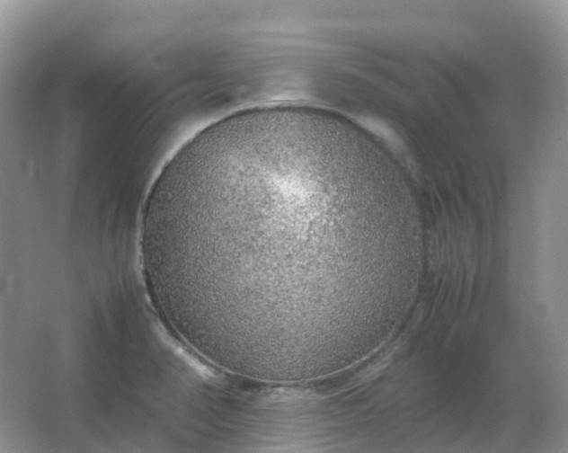 X0000067481374200604150005