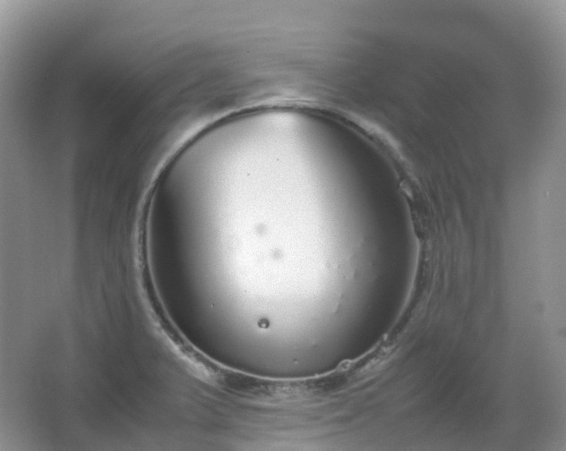 X0000067481375200604150005