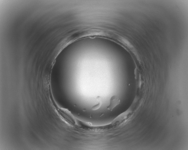 X0000067481377200604150005