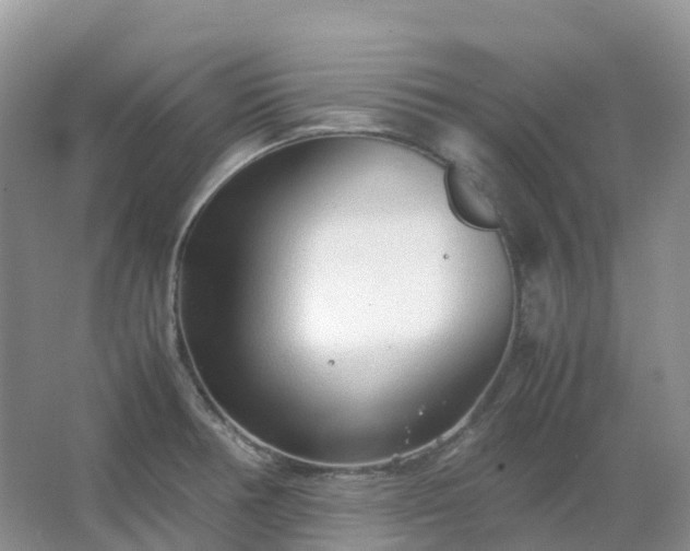 X0000067481378200604150005