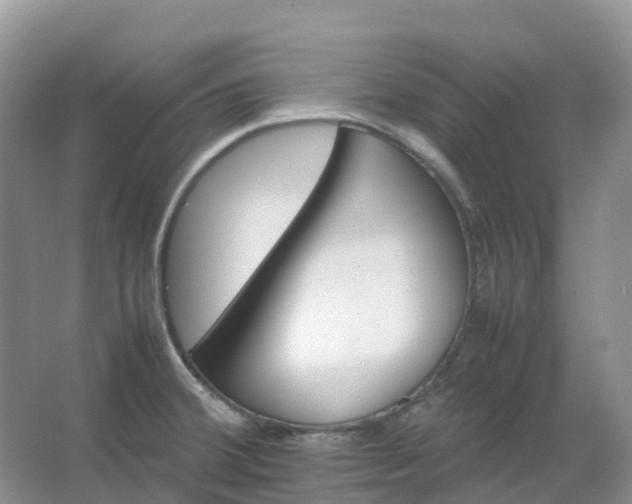 X0000067481380200604150005