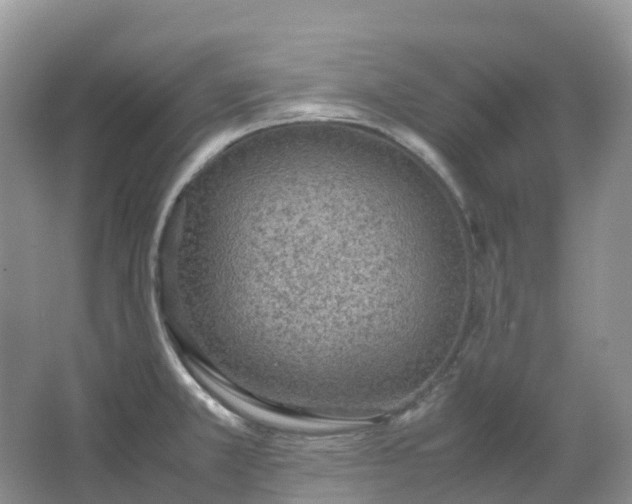 X0000067481381200604150005