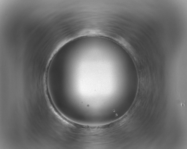 X0000067481382200604150005