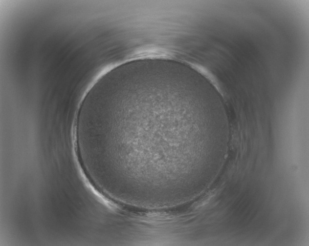 X0000067481383200604150005