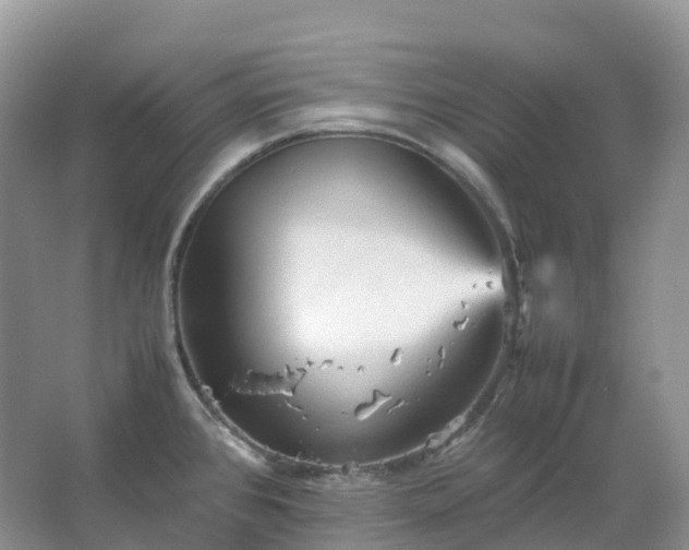 X0000067481384200604150005