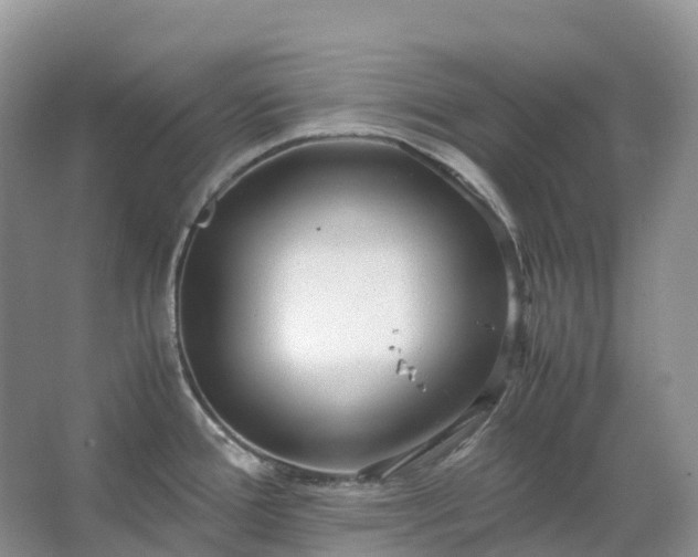 X0000067481388200604150005