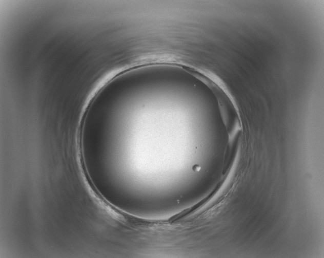 X0000067481389200604150005