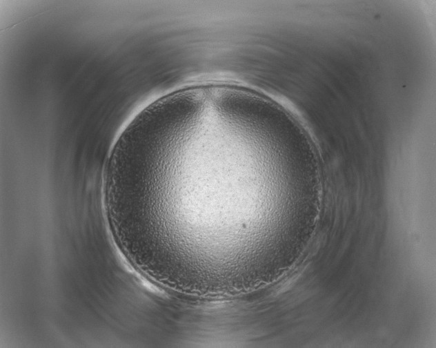 X0000067481390200604150005