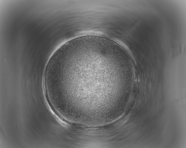 X0000067481391200604150005