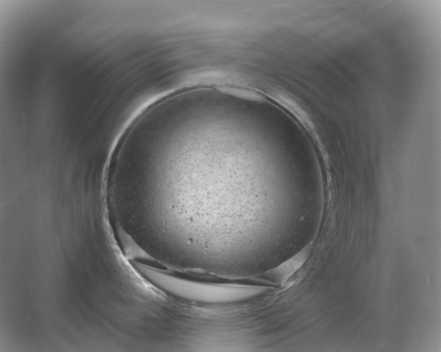 X0000067481392200604150005