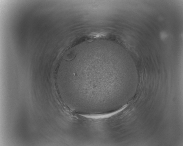 X0000067481393200604150004