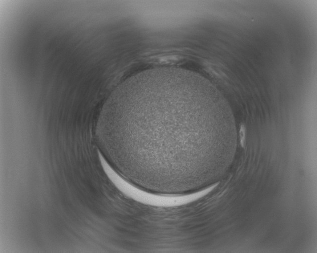 X0000067481395200604150004