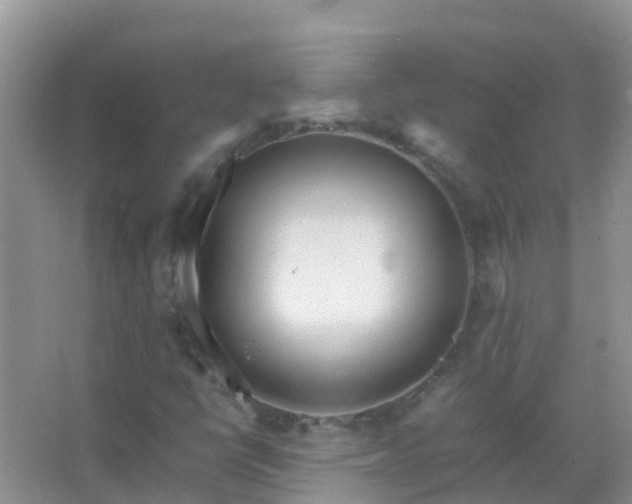 X0000067481398200604150004